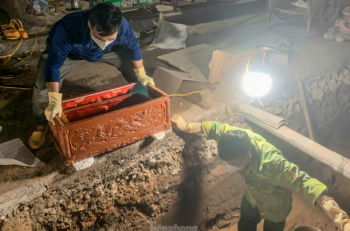 Đào thấy tiểu có nên thờ không?